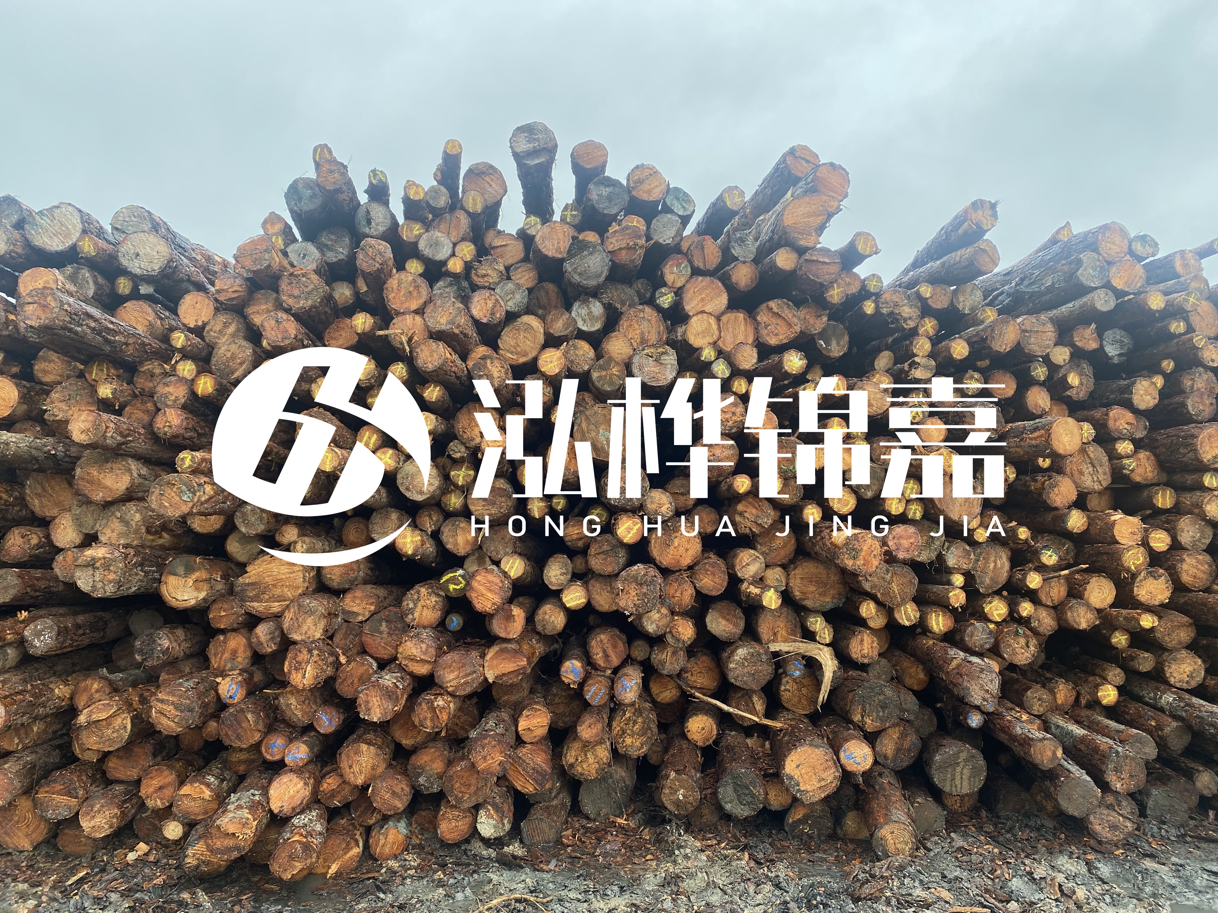 松木樁的直徑一般取多少?