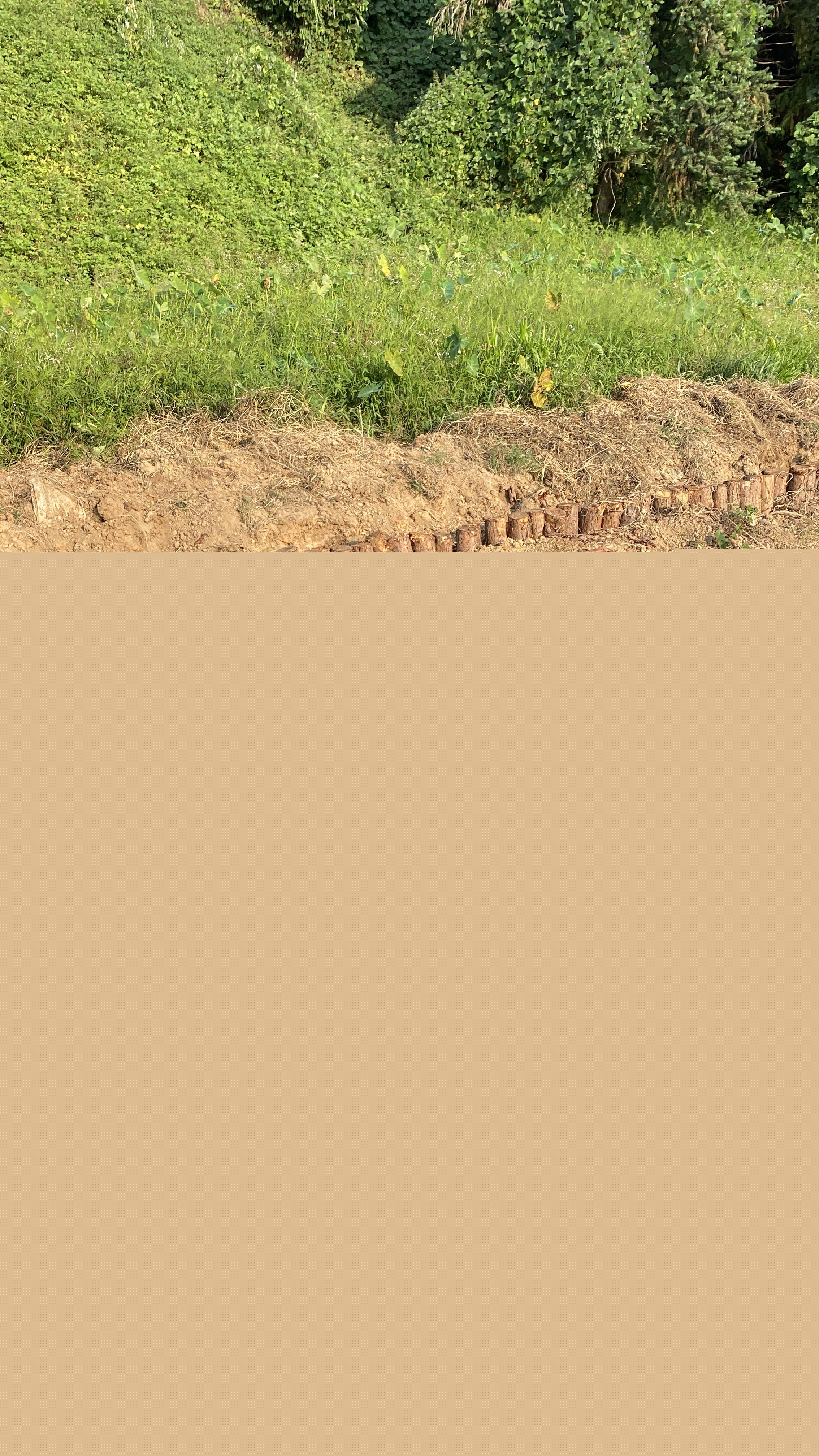 雙鴨山河道清淤專業施工-把河抽干就算清淤？