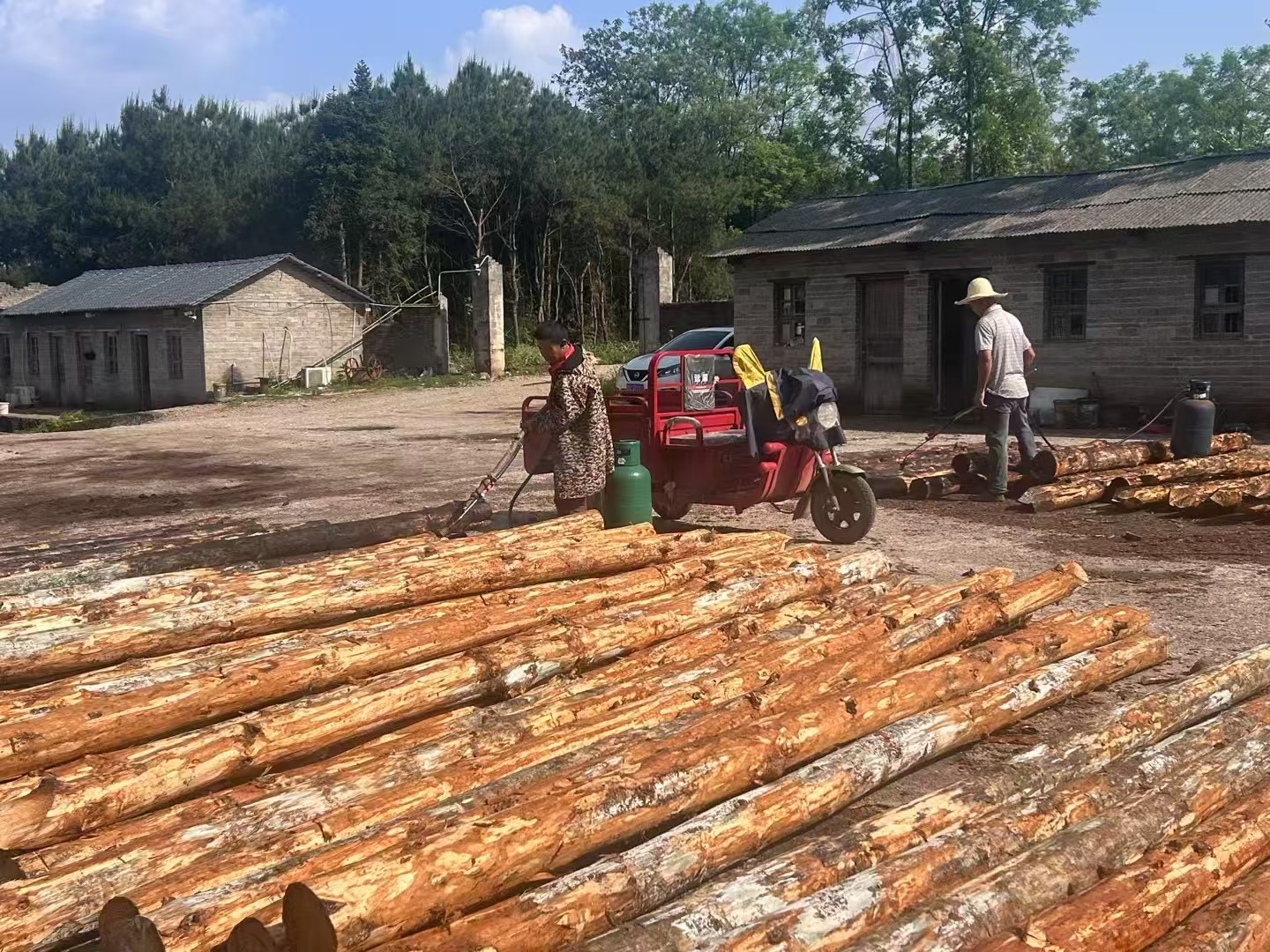 松木樁批發(fā)廠家泓樺錦嘉-圍堰松木樁為什么要交錯排列？